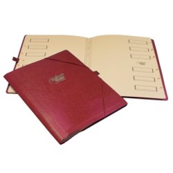 Carpeta clasificador carton compacto saro folio roja 12 departamentos