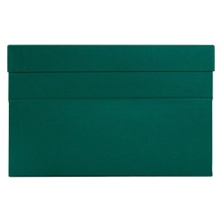 Caja transferencia liderpapel folio lomo 118 mm color verde 390x118x260 mm