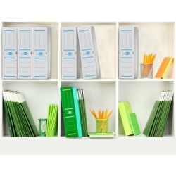 Caja archivo definitivo plastico liderpapel lomo 100 mm blanco 360x100x260 mm