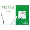 Papel vegetal guarro din a4 90-95 gr hoja