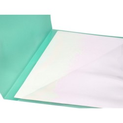 Carpeta liderpapel dossier a4 uñero verde manzana opaco