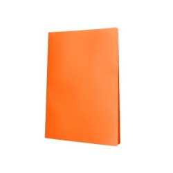 Carpeta liderpapel escaparate 30 fundas polipropileno din a4 naranja fluor opaco