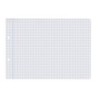 Recambio liderpapel cuarto apaisado 100 h 2tca-06 cuadro 3 mm 2 taladros con margen