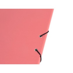 Carpeta antartik clasificadora a4 12 departamentos goma carton forrado color coral
