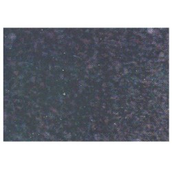 Rollo adhesivo aironfix especial ante negro 67800 rollo de 10 mt