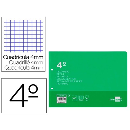 Recambio liderpapel cuarto apaisado 100 h 2tca-01 cuadro 4 mm 2 taladros con margen