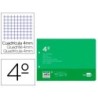 Recambio liderpapel cuarto apaisado 100 h 2tca-01 cuadro 4 mm 2 taladros con margen