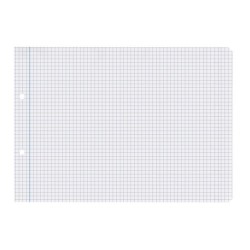 Recambio liderpapel cuarto apaisado 100 h 2tca-01 cuadro 4 mm 2 taladros con margen