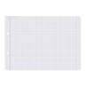 Recambio liderpapel cuarto apaisado 100 h 2tca-01 cuadro 4 mm 2 taladros con margen