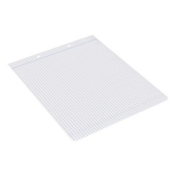 Recambio liderpapel cuarto apaisado 100 h 2tca-01 cuadro 4 mm 2 taladros con margen