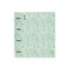 Carpeta con recambio safta din a4 cuadro 5 mm polipropileno foam 4 anillas 35mm estampados floral verde