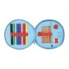 Plumier escolar safta con cremallera 18 piezas 210x35 mm cleo & cuquin good night
