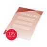 Bolsa de plastificar gbc din a4 2x175 micras caja de 100 unidades