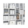 Caja almacenamiento leitz click & store cubica grande color blanco 320x360x310 mm