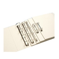 Carpeta canguro esselte basica 4 anillas mixtas 40 mm din a4 plastico color blanco
