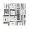 Caja almacenamiento leitz click&store wow carton reciclado color blanco 281x200x369 mm