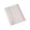 Separador alfabetico esselte plastico a-z folio caratula cartulina color multitaladro