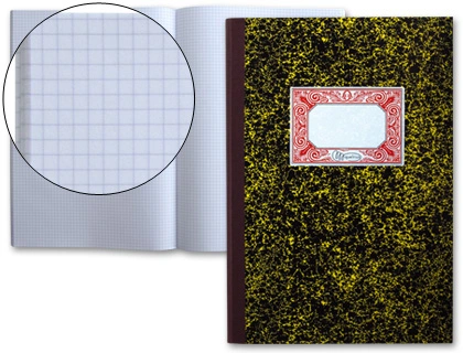 Libro Miquelrius Cartone 3010 Folio 100 Hojas Cuadro Pequeño